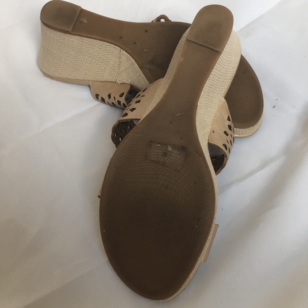 Champagne cut out wedges - Picture 4 of 6